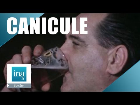 Vidéo: Pourquoi la bière étanche-t-elle la soif ?