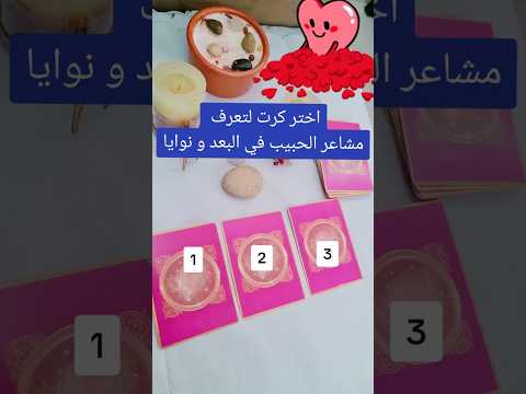 اختر كرت لتعرف مشاعر الحبيب في البعد و نوايا ابراج تاروت Tarot Love Explore  اختر كرت لتعرف مشاعر الحبيب في البعد و نوايا ابراج تاروت Tarot Love Explore