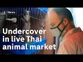 'Another Wuhan in the making?': Undercover in a Thailand market selling live animals