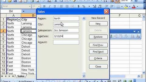 Excel 2003 Tutorial Adding & Deleting Records in the Data Form Microsoft Training Lesson 25.2