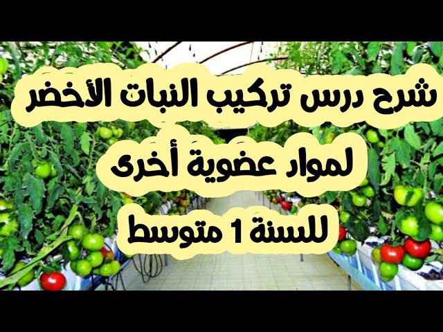 شرح درس تركيب النبات الأخضر لمواد عضوية أخرى ( الكتاب المدرسي ص 43 ) سنة 1 متوسط