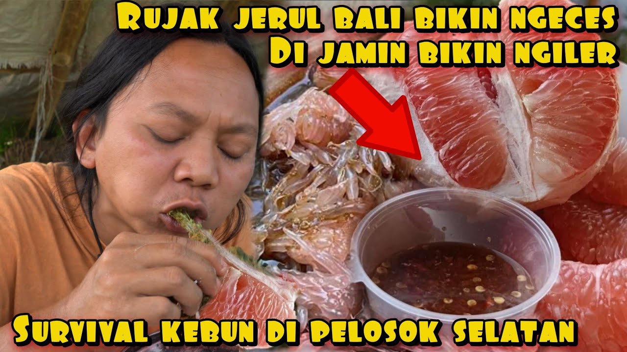 RUJAK JERUK BALI BIKIN MEREM MELEK