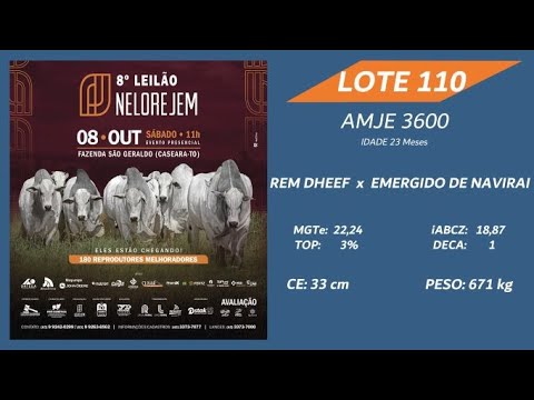 LOTE 110