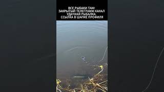 Поклёвка #рыбак #fishing #рыбалка #рыба #поклёвка