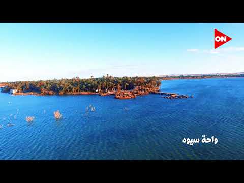 أرض النخيل قطعة من الجمال المصري واحة سيوة