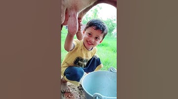 Thumbnail of choti choti gaiya tgfhgfvb #song #love