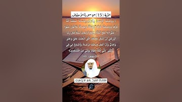 الآية (15) من سورة الأحقاف// القارئ الشيخ ياسر الدوسري.