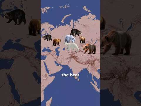 How Polar Bears