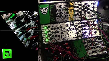 New Eurorack Module Animodule Quad Comparator