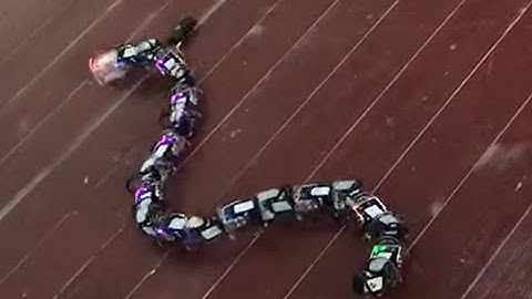 Bionic Snake Robot Showcase - 3 Locomotion Patterns