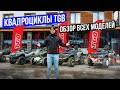 Квадроциклы TGB. Обзор всех моделей