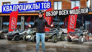 Квадроциклы TGB. Обзор всех моделей