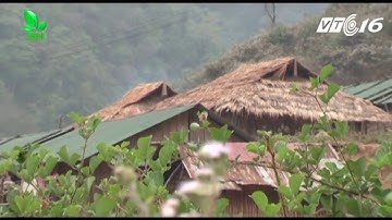 mua doi cua nguoi La Hu