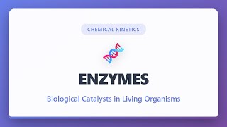 Enzymes: Biological Catalysts Explained | Chemical Kinetics | Biochemistry Basics