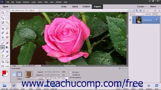 Photoshop Elements 2018 Tutorial Using the Paint Bucket Tool Adobe Training
