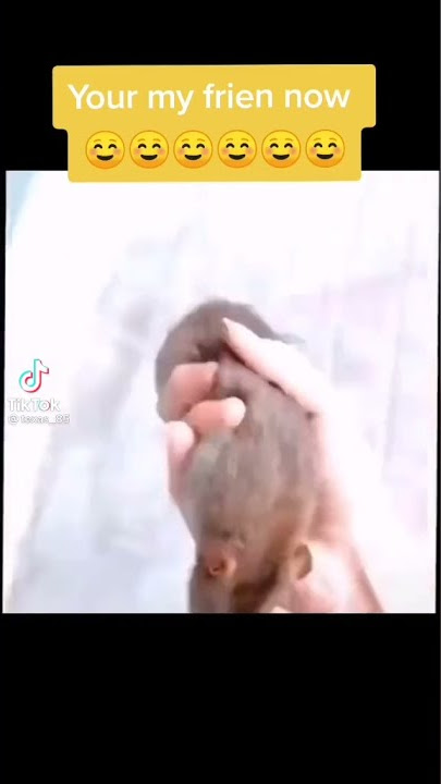 21 Juni 2021