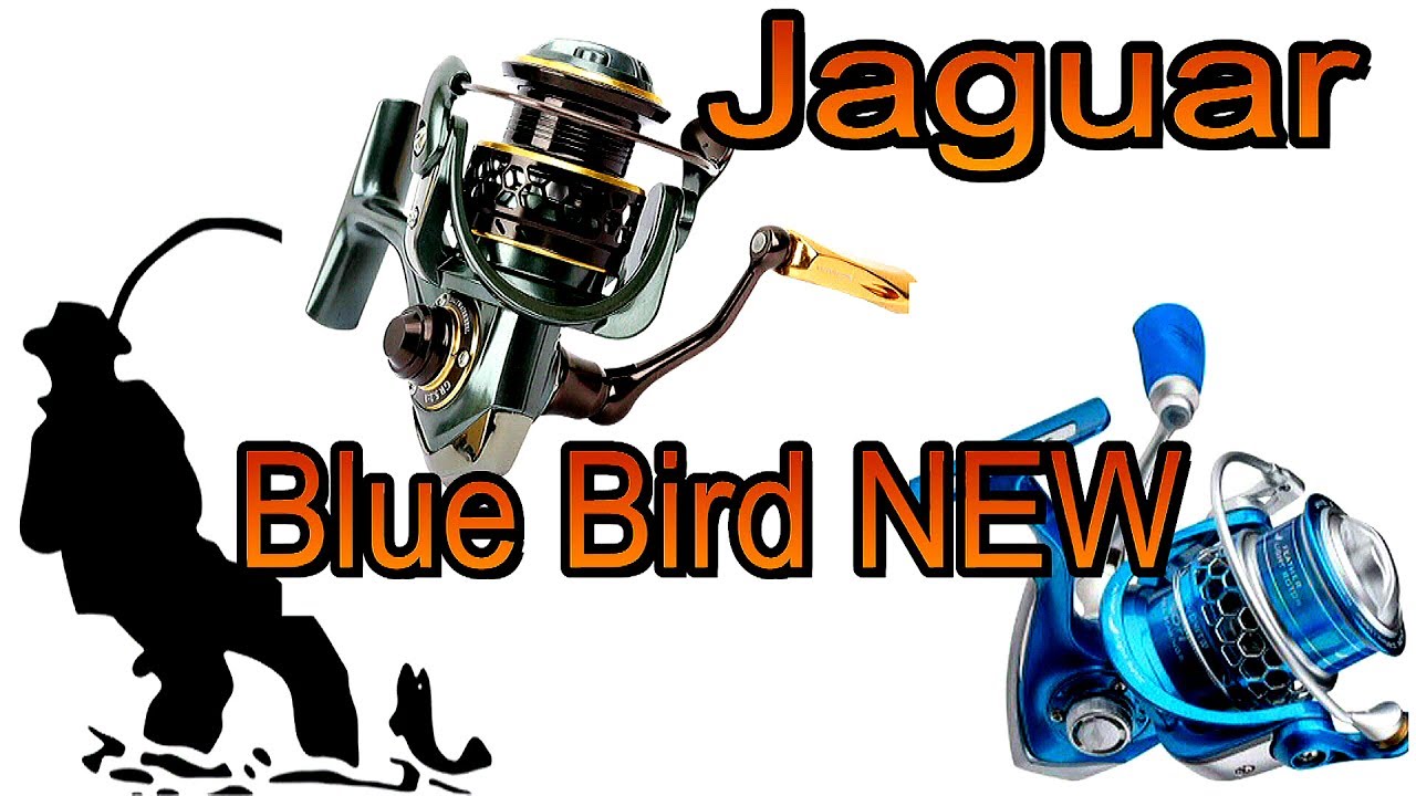 ⁣Обзор TSURINOYA Jaguar 1000 Favorite Blue Bird NEW!