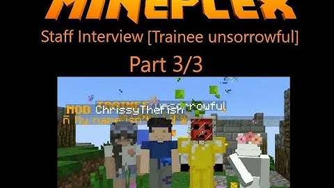 Mineplex Staff Interview [Trainee unsorrowful]
