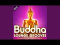 The buddha groove continuous mix 2013