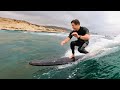 Vesl soft top surfboard surfing  why every surfer needs one