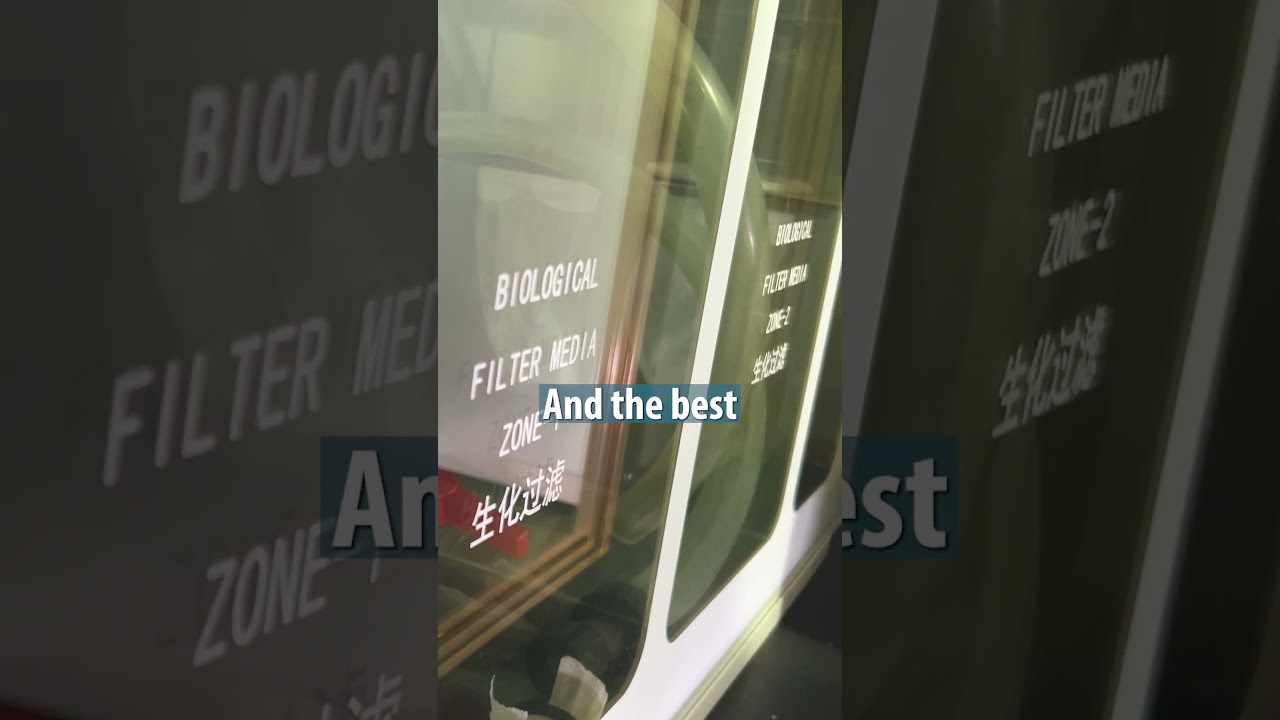 This Is More Than An Aquarium!