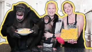 CHIMPANZEE LEARNS HOW TO COOK MAC AND CHEESE!