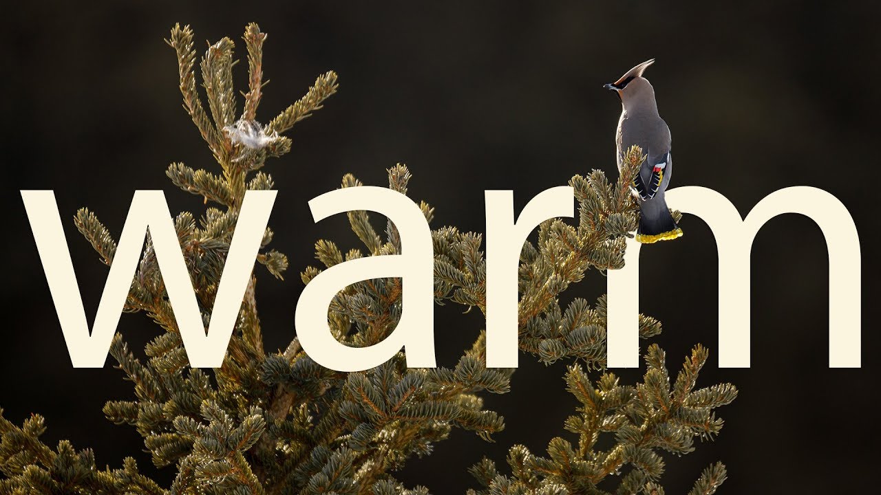 Warm - YouTube