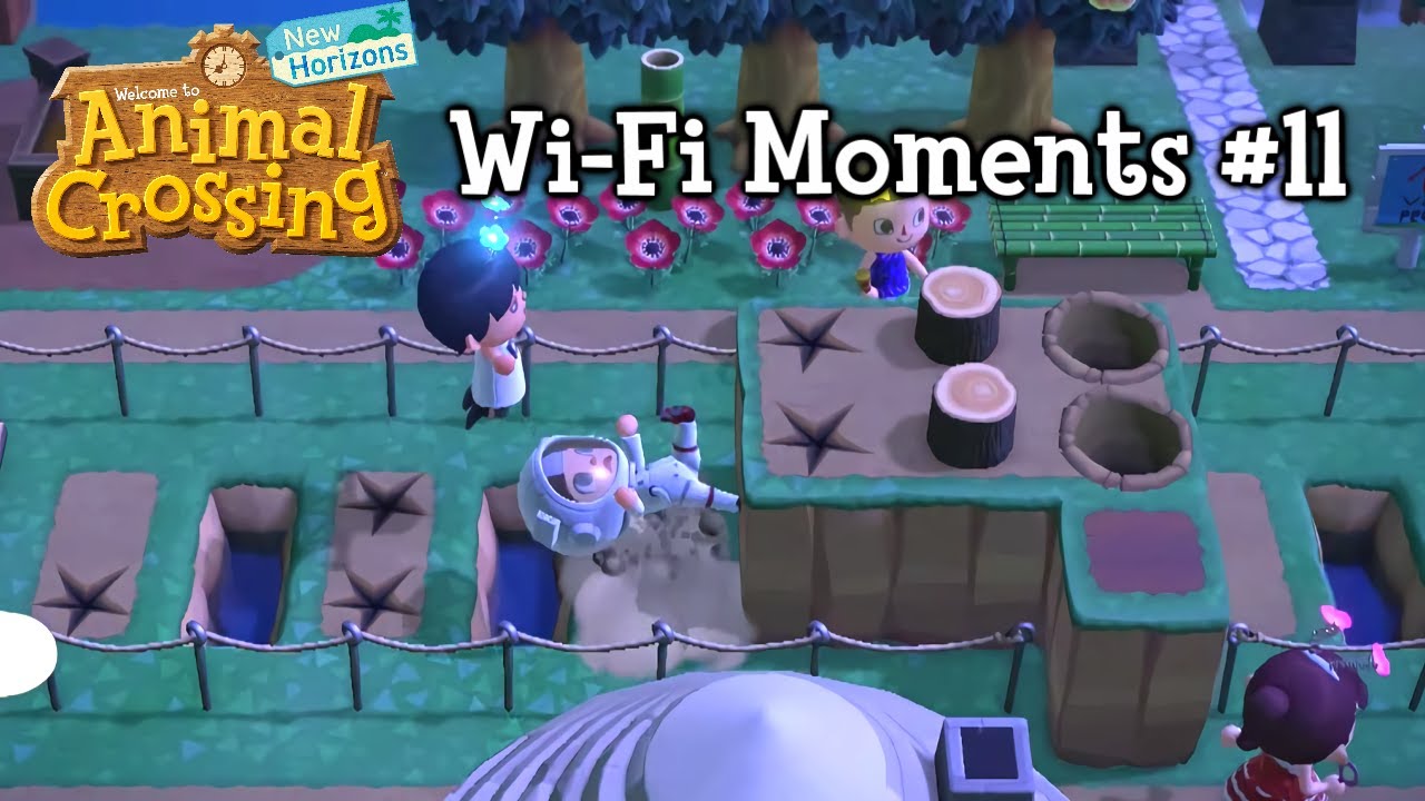 Wi-Fi Moments #11 - Animal Crossing: New Horizons