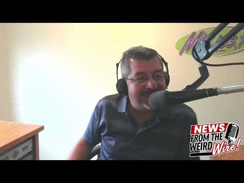 Feisty cats and the $80,000 mac and cheese heist: News From the Weird Wire by Paskvan Podcasts