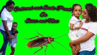 Cockroach And Snake Prank On Sister And Niece Niijon Iinsane