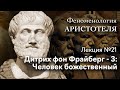 Феноменология Аристотеля. № 21. Дитрих фон Фрайберг - 3. Человек божественный