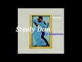 Steely Dan - Hey Nineteen ( lyric video)