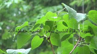 سورة البقرة ..تلاوة نادرة للشيخ سعود الشريم لما كان شابا سنة 1410 هجري