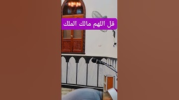 تراويح رمضان..سورة آل عمران