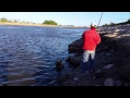 PESCA DE LISAS !! VILLANUEVA - RIO SALADO!!