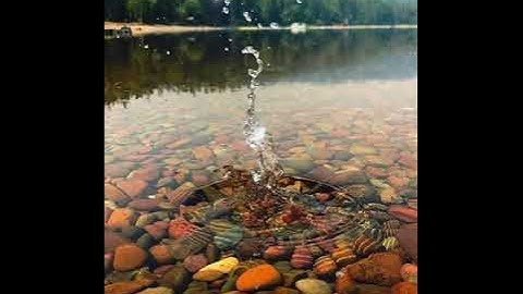 006 سورة الأنعام برواية ورش عن نافع