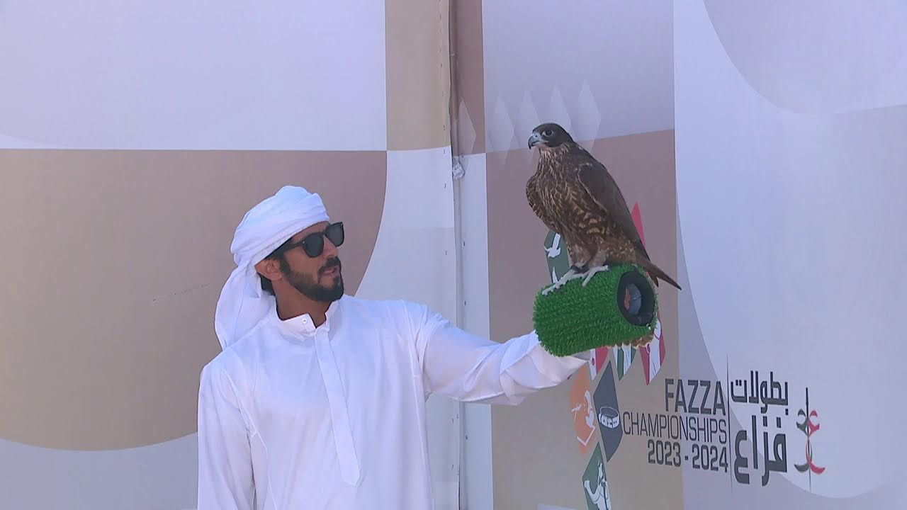 بطولة فزاع للصيد بالصقور – التلواح - 2023-2024 : الشيوخ - جير شاهين