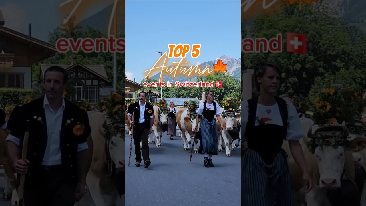 5 лучших швейцарских фестивалей, которые стоит ждать 🍁✨️