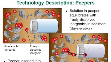 Animation of Peeper Technology
