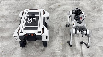 UWB for Robot Positioning and Navigation