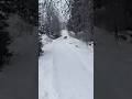 Wilderness #finland #snow #love #live #pets #winter #nature