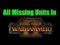 All The Missing Units and Characters In Total War: Warhammer