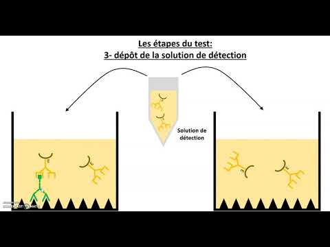 Vidéo: ELISA De Capture à Base D'anticorps Monoclonaux Dans Le Diagnostic D'une Infection Antérieure à La Dengue