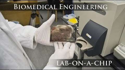Experience LTH at Lund University: Biomedical Engineering
