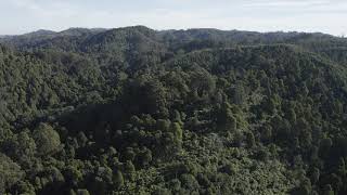 Back ridge to Little Albert River by Keith Webb 22 views 3 years ago 1 minute, 1 second