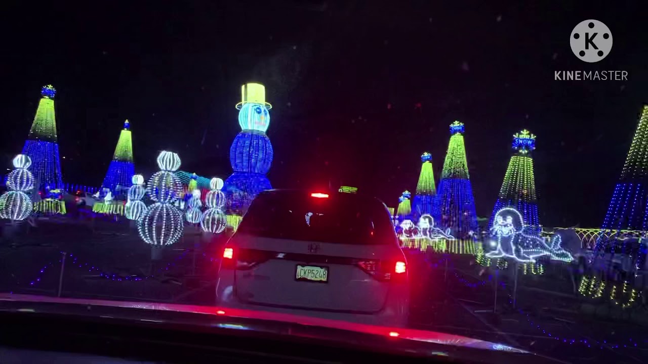 World of Illumination 2020