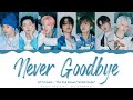 NCT DREAM - &#39;Never Goodbye&#39; Lyrics Color Coded (Han/Rom/Eng) | @HansaGame
