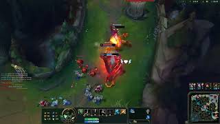 WARWICK JUNGLE HIGHLIGHTS