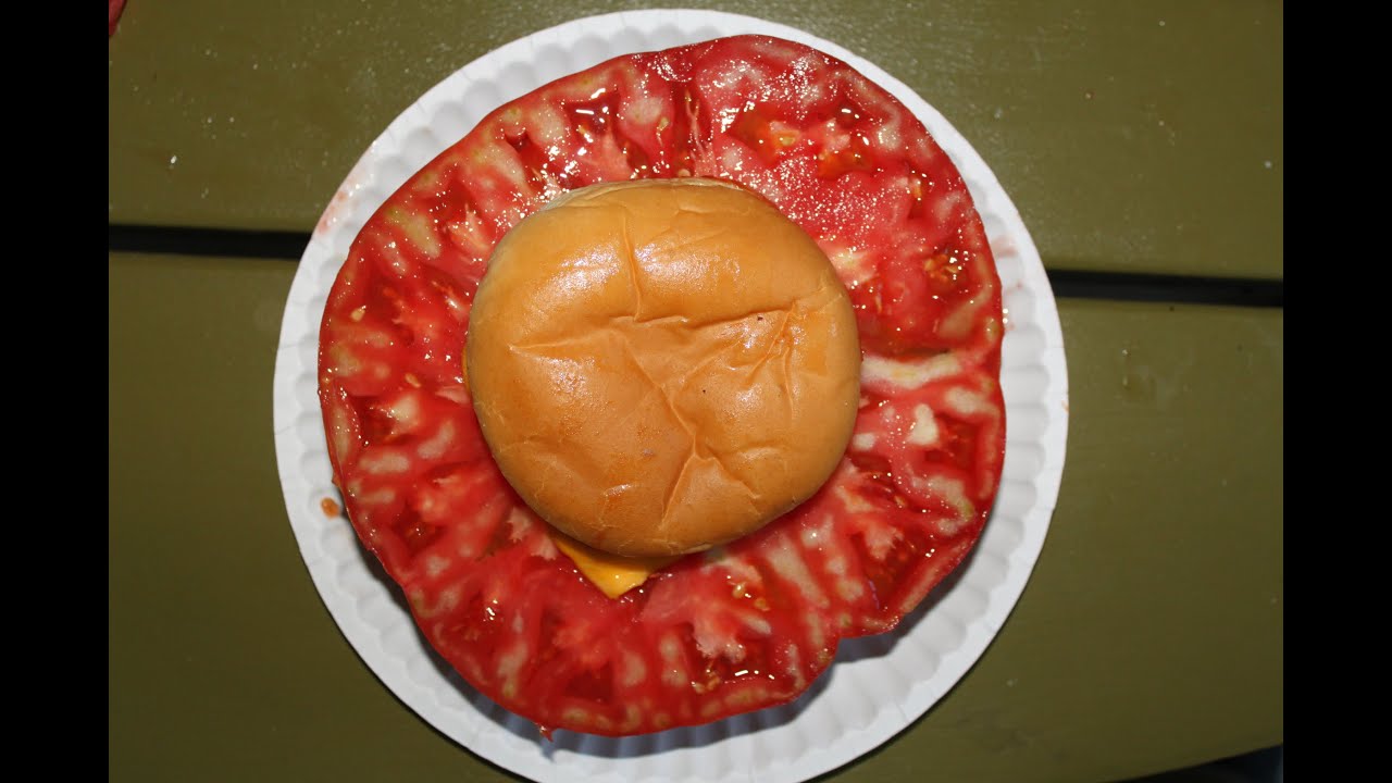 Big Zac, 4 pound Giant tomato YouTube