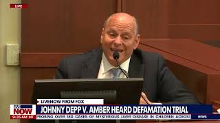 Amber Heard expert testimony 'built house of cards on nothing': Depp witness | LiveNOW from FOX